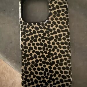 Casey iPhone 16 pro case